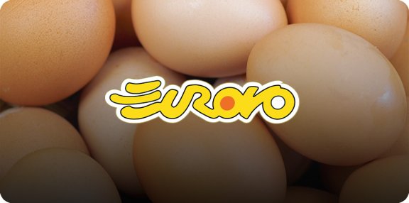 Banner-con-Logo-eurovo