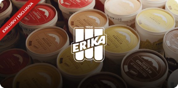 Erika logo_